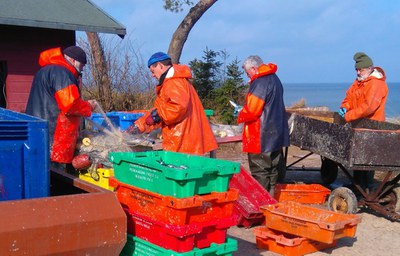 fisherman-1242204 Hilde Stockmann Pixabay_min.jpg